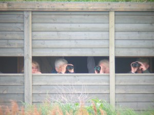 From the hide