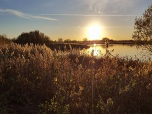 stodmarsh