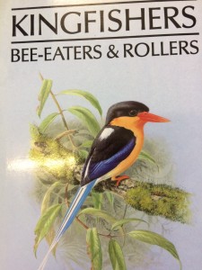 Kingfishers, Bee-eaters & Rollers
