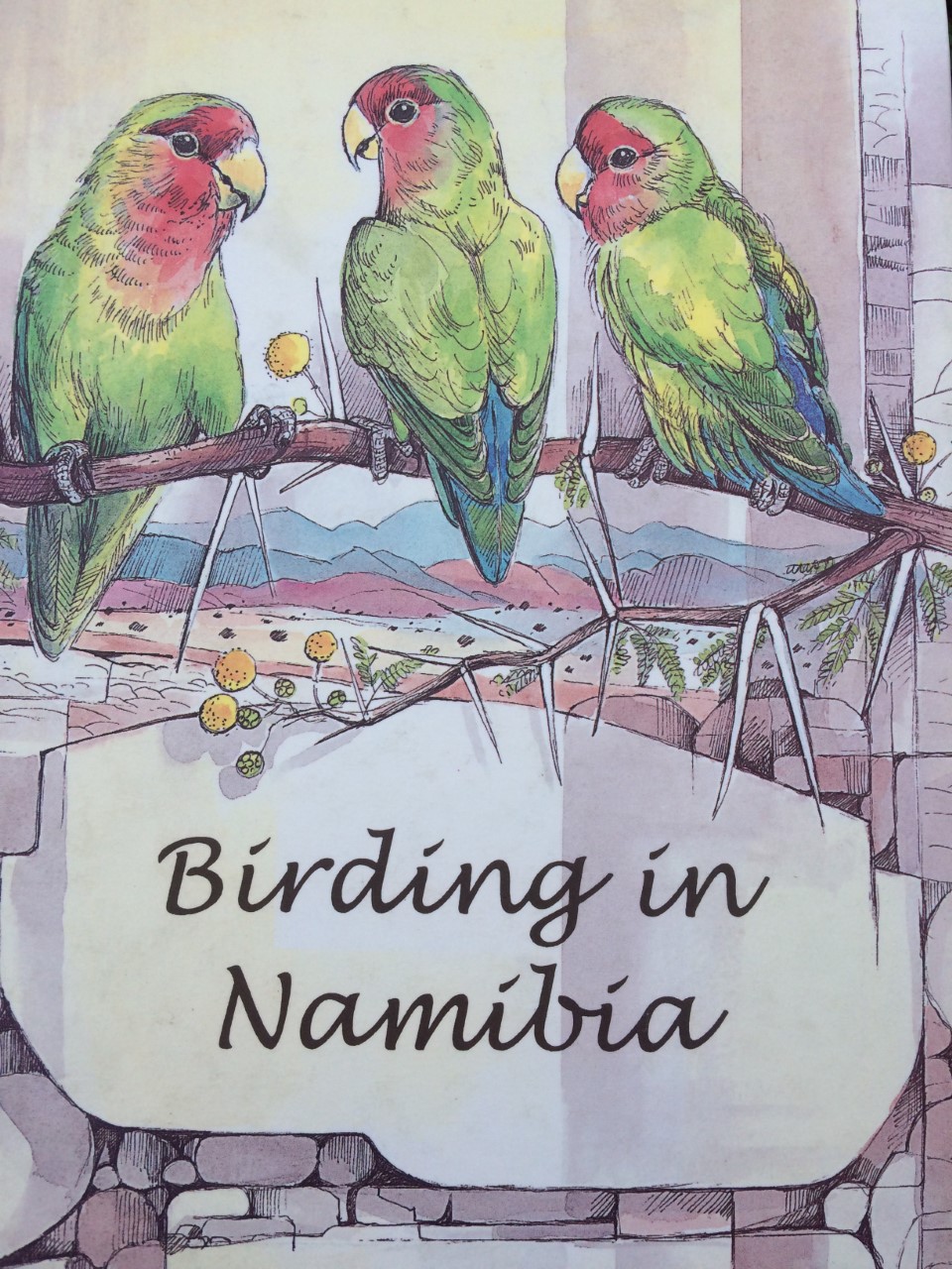 Birding in Namibia
